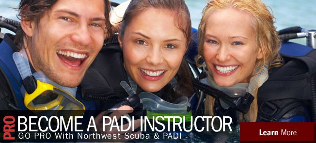 We have divemaster and IDC starting. Call for details.
